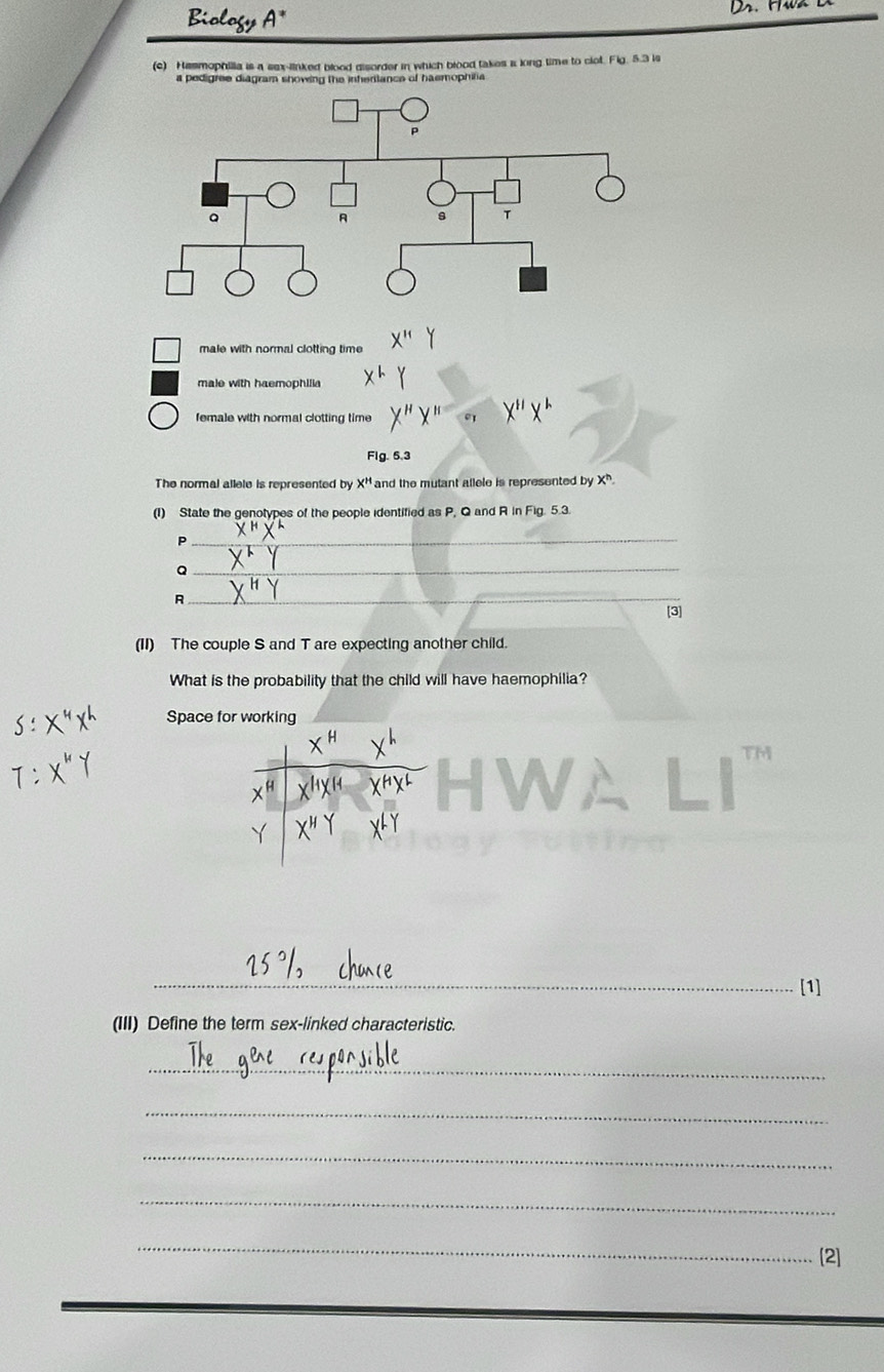 Biology A^*
(c) Hasmophilia is a sex-linked blood disorder in which blood takes i long time to clot. Fig. 5.3 is 
a pedigree diagram showing the inherlance of haemophira 
male with normal clotting time 
male with haemophilia 
female with normal clotting time 
Flg. 5.3 
The normal allele is represented by X^H and the mutant allele is represented by X^h. 
(1) State the genotypes of the people identified as P, Q and R in Fig. 5.3. 
_ p
Q
_
R
_ 
[3] 
(II) The couple S and T are expecting another child. 
What is the probability that the child will have haemophilia? 
Space for working 
TM 
_ 
_ 
_[1] 
(III) Define the term sex-linked characteristic. 
_ 
_ 
_ 
_ 
_ 
[2]