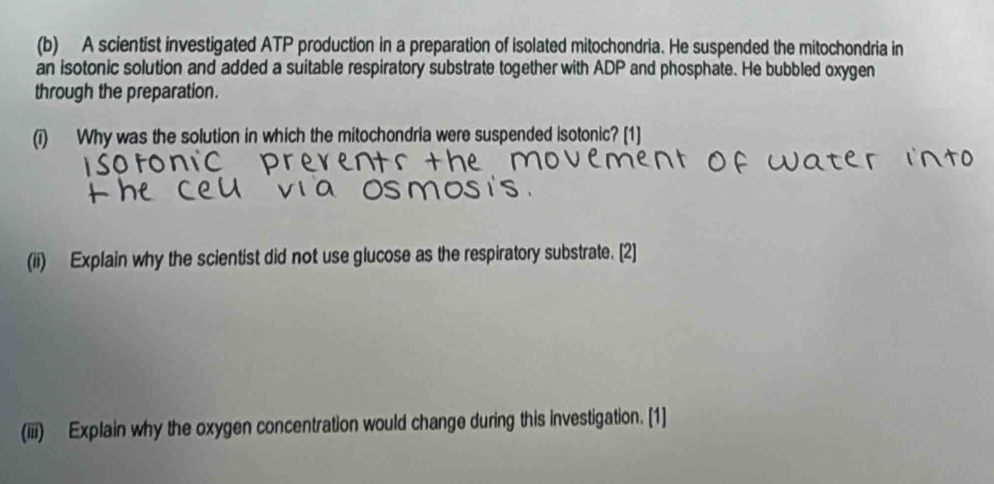 A scientist investigated ATP production in a preparation of isolated mitochondria. He suspended the mitochondria in 
an isotonic solution and added a suitable respiratory substrate together with ADP and phosphate. He bubbled oxygen 
through the preparation. 
(i) Why was the solution in which the mitochondria were suspended isotonic? [1] 
(ii) Explain why the scientist did not use glucose as the respiratory substrate. [2] 
(iii) Explain why the oxygen concentration would change during this investigation. [1]