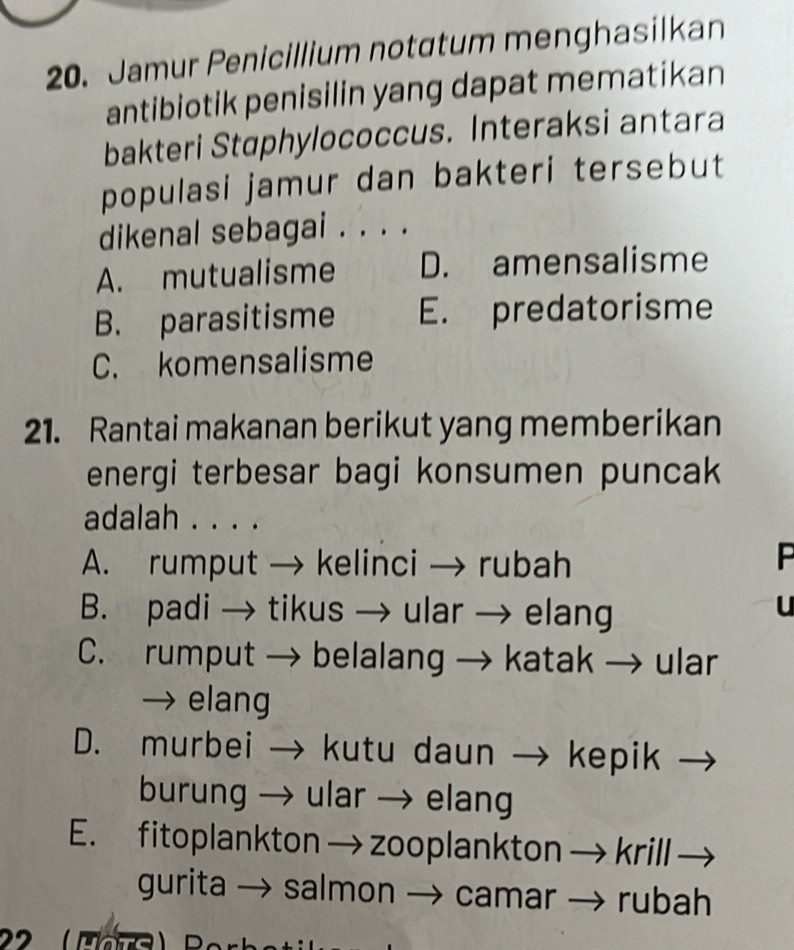 Jamur Penicillium notatum menghasilkan
antibiotik penisilin yang dapat mematikan
bakteri Staphylococcus. Interaksi antara
populasi jamur dan bakteri tersebut
dikenal sebagai . . . .
A. mutualisme D. amensalisme
B. parasitisme E. predatorisme
C. komensalisme
21. Rantai makanan berikut yang memberikan
energi terbesar bagi konsumen puncak
adalah . . . .
A. rumput → kelinci → rubah
B. padi → tikus → ular → elang
u
C. rumput → belalang → katak → ular
→ elang
D. murbei → kutu daun → kepik
burung → ular → elang
E. fitoplankton → zooplankton krill
gurita → salmon → camar rubah