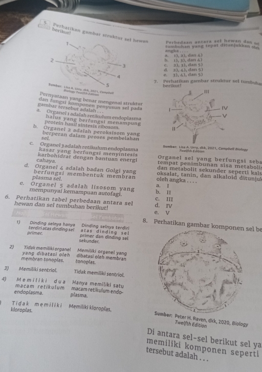 berilot!
5 Perhatikan gambar struktur sel hewan
7 Perbedaan antara sel hewan dan s
angka . . . . tumbuhan yang tepat ditunjukkan olm
2
b. 1), 3), dan 4) a. 1), 2), dan 4)
c. 2), 1), dan 5)
3 d. 2), 4), dan 5)
4 e. 3), 4), dan 5)
7. Perhatikan gambar struktur sel tumbuha
5 berilaut!
Sumber: Lisa A. Lrry, dik, 2021, Compbell  =iology Tweith Edcin 
Pernyataan yang benar mengenai struktur
dan fungsi komponen penyusun sel pada
gambar tersebut adalah . . .
a. Organel 1 adalah retikulum endoplasma
halus yang berfungsi menampung
protein hasil sintesis ribosom.
b. Organel 2 adalah peroksisom yang
sel. berperan dalam proses pembelahan
c. Organel 3 adalah retíkulum endoplasma Sumber: Lisa A. Urry, dikk, 2021, Compbell Bology
Twelfth Edition
kasar yang berfungsi menyintesis
karbohidrat dengan bantuan en erg Organel sel yang berfungsi seba
cahaya.  tempat penimbunan sisa metabolis
dan metabolit sekunder seperti kals
d. Organel 4 adalah badan Golgi yang oleh angka . . . . oksalat, tanin, dan alkaloid ditunjuk
berfungsi membentuk membran
plasma sel. a. I
e. Organel 5 adalah lisosom yang b. II
mempunyai kemampuan autofagi. c. III
6. Perhatikan tabel perbedaan antara sel d. IV
hewan dan sel tumbuhan berikut! e. V
Tumbuha 8. Perhatikan gambar komsel be
1) Dinding selnya hanya Dinding selnya terdir!
terdiri atas dinding sel a t a s d i n d i n g s e l primer dan dinding sel
primer. sekunder.
2) Tidak memiliki organel dibatasī oleh membran Memiliki organel yang
yang dibatasi oleh
membran tonoplas. tonoplas.
3) Memiliki sentriol. Tidak memiliki sentriol.
4) M e m i l i k i d u a Hanya memiliki satu
m a c a m r e t i k u l u m macam retikulum endo-
endoplasma. plasma.
T i d a k m e m i l i k i Memiliki kloroplas.
kioroplas.
eter H. Raven, dkk, 2020, Biology
Twelfth Edition
Di antara sel-sel berikut sel ya
memiliki komponen seperti
tersebut adalah . . .