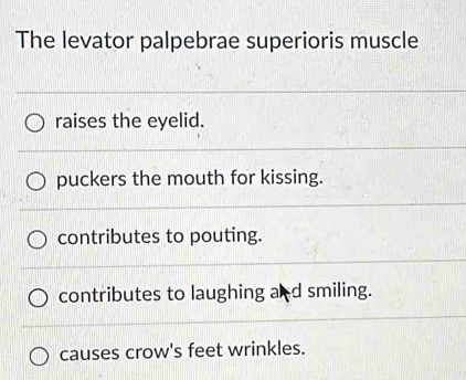 The levator palpebrae superioris muscle
raises the eyelid.
puckers the mouth for kissing.
contributes to pouting.
contributes to laughing and smiling.
causes crow's feet wrinkles.