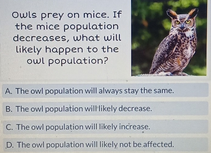 Owls prey on mice. If
the mice population
decreases, what will
likely happen to the
owl population?
A. The owl population will always stay the same.
B. The owl population will likely decrease.
C. The owl population will likely increase.
D. The owl population will likely not be affected.