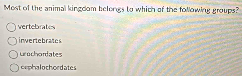 Most of the animal kingdom belongs to which of the following groups?
vertebrates
invertebrates
urochordates
cephalochordates