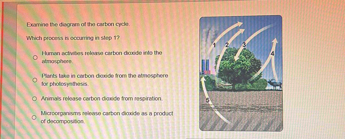 Examine the diagram of the carbon cycle.
Which process is occurring in step 1?
Human activities release carbon dioxide into the
atmosphere.
Plants take in carbon dioxide from the atmosphere
for photosynthesis.
Animals release carbon dioxide from respiration.
Microorganisms release carbon dioxide as a product
of decomposition.