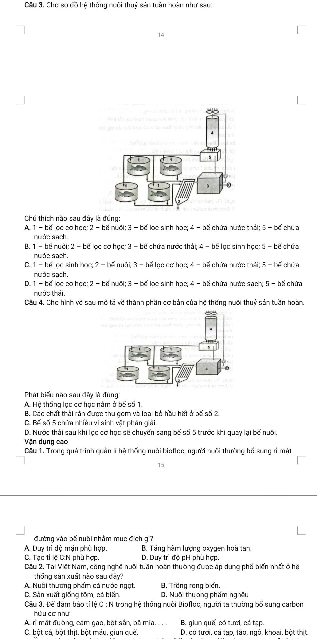 Cho sơ đồ hệ thống nuôi thuỷ sản tuần hoàn như sau:
14
Chú thích nào sau đây là đúng:
A. 1 - bể lọc cơ học; 2 - bể nuôi; 3 - bể lọc sinh học; 4 - bể chứa nước thải; 5 - bể chứa
nước sạch.
B. 1 - bể nuôi; 2 - bể lọc cơ học; 3 - bể chứa nước thải; 4 - bể lọc sinh học; 5 - bể chứa
nước sạch.
C. 1 - bể lọc sinh học; 2 - bể nuôi; 3 - bể lọc cơ học; 4 - bể chứa nước thải; 5 - bể chứa
nước sạch.
D. 1 - bể lọc cơ học; 2 - bể nuôi; 3 - bể lọc sinh học; 4 - bể chứa nước sạch; 5 - bể chứa
nước thải.
Câu 4. Cho hình vẽ sau mô tả về thành phần cơ bản của hệ thống nuôi thuỷ sản tuần hoàn.
Phát biểu nào sau đây là đúng:
A. Hệ thống lọc cơ học nằm ở bể số 1.
B. Các chất thải rắn được thu gom và loại bỏ hầu hết ở bể số 2.
C. Bể số 5 chứa nhiều vi sinh vật phân giải.
D. Nước thải sau khi lọc cơ học sẽ chuyển sang bể số 5 trước khi quay lại bể nuôi.
Vận dụng cao
Câu 1. Trong quá trình quản lí hệ thống nuôi biofloc, người nuôi thường bổ sung rỉ mật
15
đường vào bể nuôi nhằm mục đích gì?
A. Duy trì độ mặn phù hợp. B. Tăng hàm lượng oxygen hoà tan.
C. Tạo tỉ lệ C:N phù hợp. D. Duy trì độ pH phù hợp.
Câu 2. Tại Việt Nam, công nghệ nuôi tuần hoàn thường được áp dụng phố biến nhất ở hệ
thống sản xuất nào sau đây?
A. Nuôi thương phẩm cá nước ngọt. B. Trồng rong biển.
C. Sản xuất giống tôm, cá biển. D. Nuôi thương phẩm nghêu
Câu 3. Để đảm bảo tỉ lệ C : N trong hệ thống nuôi Biofloc, người ta thường bố sung carbon
hữu cơ như
A. rỉ mật đường, cám gạo, bột sắn, bã mía. . . . B. giun quế, có tươi, cả tạp.
C. bột cá, bột thịt, bột máu, giun quế. D. có tươi, cá tạp, tảo, ngô, khoai, bột thịt.