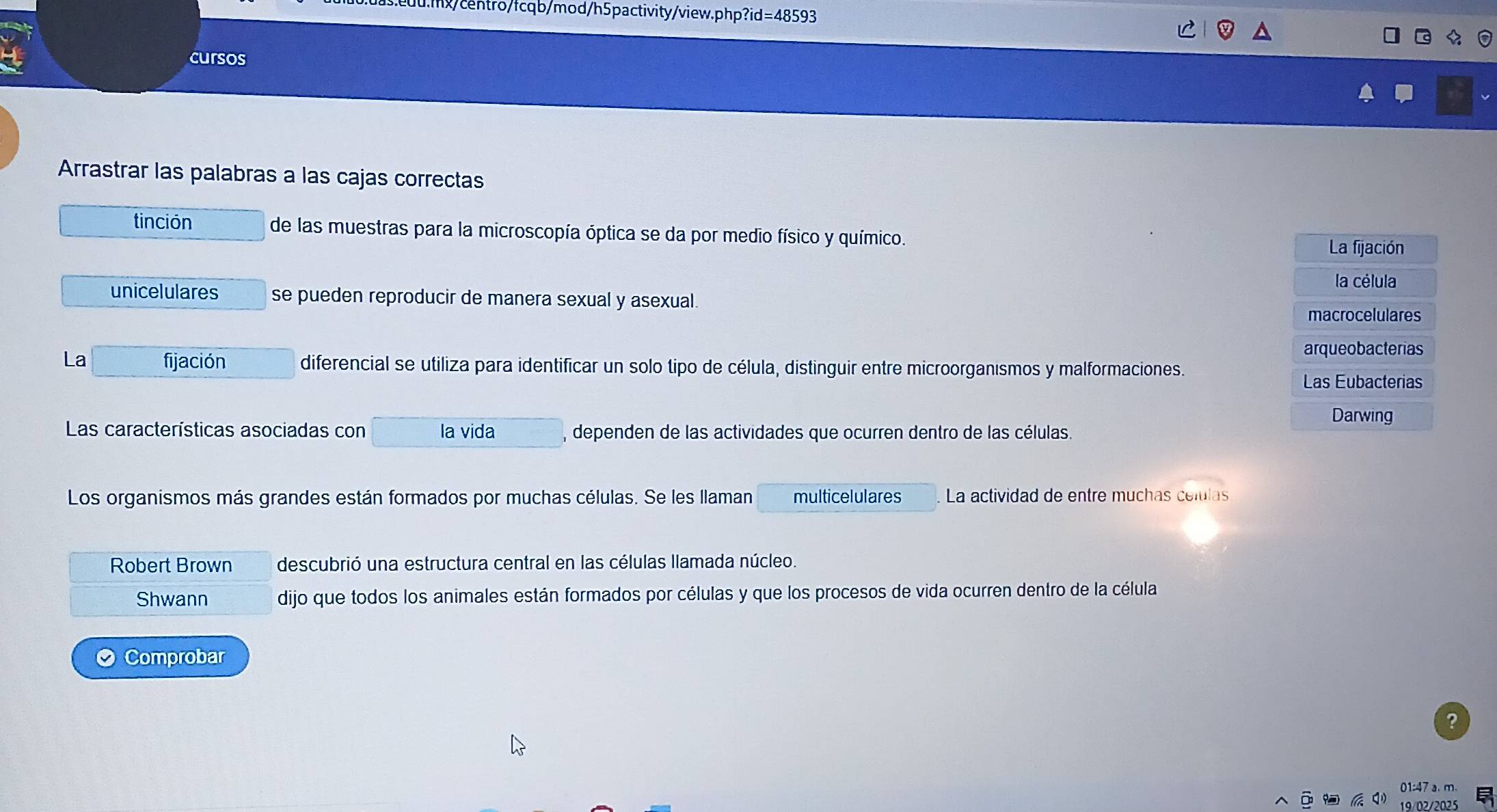 m/centro/fcqb/mod/h5pactivity/view.php?id=48593 
cursos 
Arrastrar las palabras a las cajas correctas 
tinción de las muestras para la microscopía óptica se da por medio físico y químico. La fijación 
la célula 
unicelulares se pueden reproducir de manera sexual y asexual. 
macrocelulares 
arqueobacterias 
La fijación diferencial se utiliza para identificar un solo tipo de célula, distinguir entre microorganısmos y malformaciones. 
Las Eubacterias 
Darwing 
Las características asociadas con la vida , dependen de las actividades que ocurren dentro de las células. 
Los organismos más grandes están formados por muchas células. Se les llaman multicelulares La actividad de entre muchas celulas 
Robert Brown descubrió una estructura central en las células llamada núcleo. 
Shwann dijo que todos los animales están formados por células y que los procesos de vida ocurren dentro de la célula 
Comprobar 
? 
01:47 a. m. 
19/02/2025