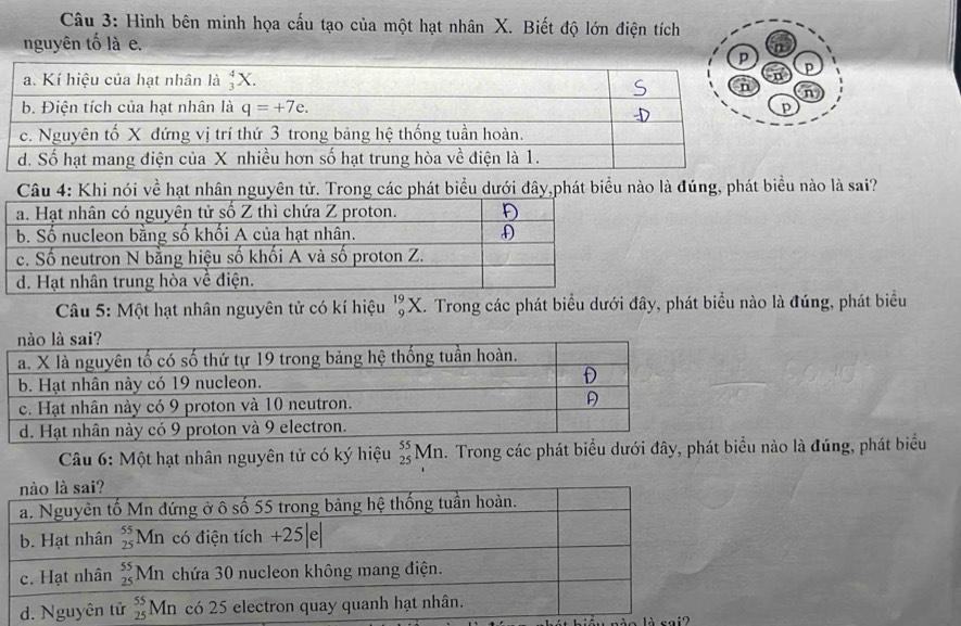 Hình bên minh họa cấu tạo của một hạt nhân X. Biết độ lớn điện tích
nguyên tố là e.
p
n
Câu 4: Khi nói về hạt nhân nguyên tử. Trong các phát biểu dưới đây,phát biểu nào là đúng, phát biểu nào là sai?
Câu 5: Một hạt nhân nguyên tử có kí hiệu _9^(19)X. Trong các phát biểu dưới đây, phát biểu nào là đúng, phát biểu
Câu 6: Một hạt nhân nguyên tử có ký hiệu _(25)^(55)Mn a. Trong các phát biểu dưới đây, phát biểu nào là đúng, phát biểu