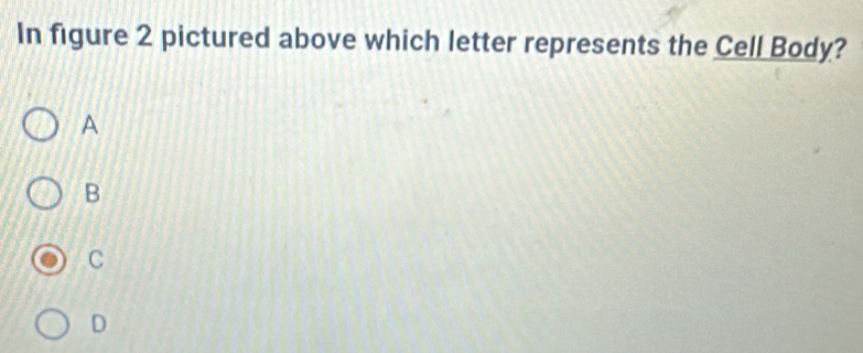 In figure 2 pictured above which letter represents the Cell Body?
A
B
C
D