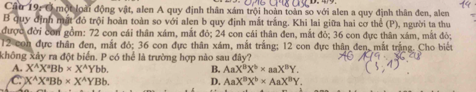 Ở một loài động vật, alen A quy định thân xám trội hoàn toàn so với alen a quy định thân đen, alen
B quy định mắt đỏ trội hoàn toàn so với alen b quy định mắt trắng. Khi lai giữa hai cơ thể (P), người ta thu
được đời con gồm: 72 con cái thân xám, mắt đỏ; 24 con cái thân đen, mắt đỏ; 36 con đực thân xám, mắt đỏ;
12 con đực thân đen, mắt đỏ; 36 con đực thân xám, mắt trắng; 12 con đực thân đen, mắt trắng. Cho biết
không xảy ra đột biến. P có thể là trường hợp nào sau đây?
A. X^(wedge)X^aBb* X^(wedge)Ybb. B. AaX^BX^b* aaX^BY.
C X^(wedge)X^aBb* X^(wedge)YBb.
D. AaX^BX^b* AaX^BY.