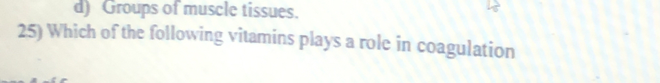 d) Groups of muscle tissues.
25) Which of the following vitamins plays a role in coagulation