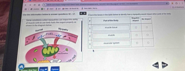 set S trandt i   Tar Ma   t ra 
Use the information below to answer questions the boxes in the lable below to identify how a myspathy would impact other parts of the bodly
Seme condisons called myopathies can impact the abilt,