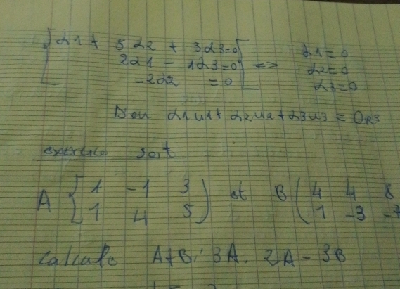 beginbmatrix 21+522+323-0 221-123-0 -202=0endbmatrix =x y_1=0
alpha _2=0
alpha _3=0
Nou diust x 242+2343=0R^3
exeruice sot
Abeginbmatrix 1&-1&3 1&4&5endbmatrix at B(4,48 1-3-endarray endarray
callale A+B; 3A, 2A-3B