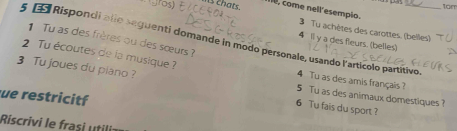 gros) s chats. 
as pás tom 
le, come nell’esempio. 
3 Tu achètes des carottes. (belles) 
1 Tu as des frères ou des sœurs ? 
5 1 Rispondi alio seguenti domande in modo personale, usando l'articolo partitivo 
4 Il y a des fleurs, (belles) 
2 Tu écoutes de la musique ? 4 Tu as des amis français ? 
3 Tu joues du piano ? 
ue restricitf 
5 Tu as des animaux domestiques ? 
6 Tu fais du sport ? 
iscriv e fas utn