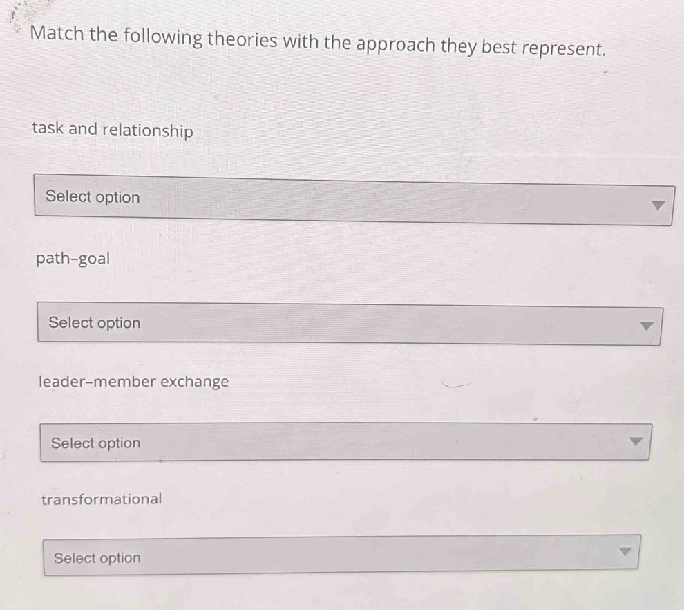 Match the following theories with the approach they best represent.
task and relationship
Select option
path-goal
Select option
leader-member exchange
Select option
transformational
Select option