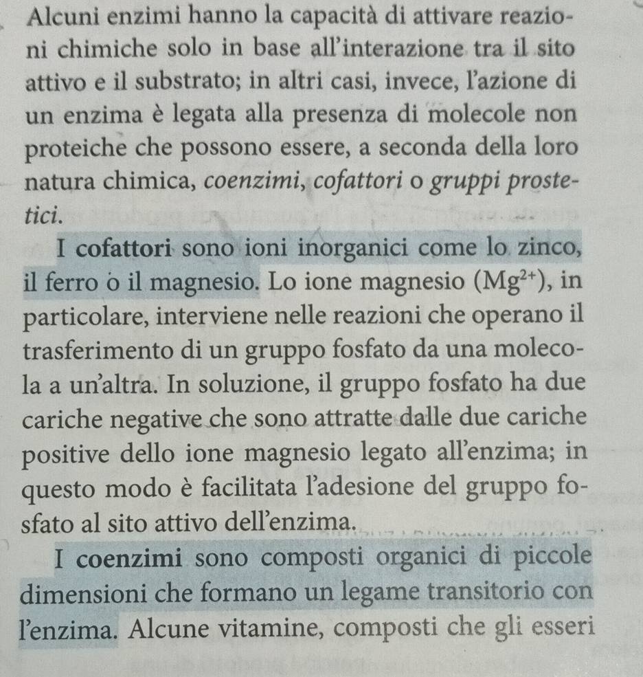 Alcuni enzimi hanno la capacità di attivare reazio- 
ni chimiche solo in base all’interazione tra il sito 
attivo e il substrato; in altri casi, invece, l’azione di 
un enzima è legata alla presenza di molecole non 
proteiche che possono essere, a seconda della loro 
natura chimica, coenzimi, cofattori o gruppi proste- 
tici. 
I cofattori sono ioni inorganici come lo zinco, 
il ferro o il magnesio. Lo ione magnesio (Mg^(2+)) , in 
particolare, interviene nelle reazioni che operano il 
trasferimento di un gruppo fosfato da una moleco- 
la a unaltra. In soluzione, il gruppo fosfato ha due 
cariche negative che sono attratte dalle due cariche 
positive dello ione magnesio legato all’enzima; in 
questo modo è facilitata ladesione del gruppo fo- 
sfato al sito attivo dellenzima. 
I coenzimi sono composti organici di piccole 
dimensioni che formano un legame transitorio con 
l’enzima. Alcune vitamine, composti che gli esseri