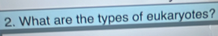 What are the types of eukaryotes?