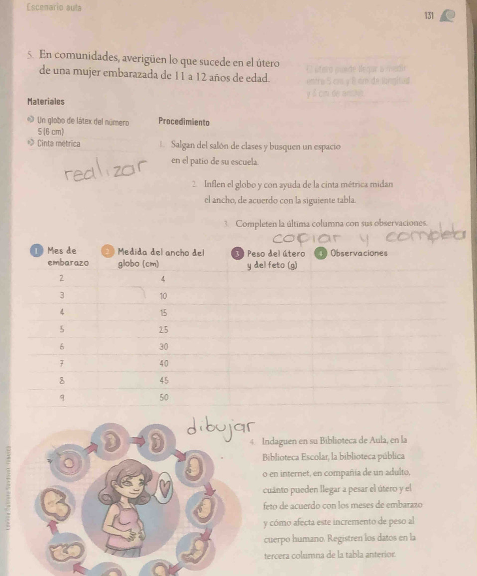 Escenario aula 
131 
5. En comunidades, averigüen lo que sucede en el útero 
de una mujer embarazada de 11 a 12 años de edad. 
Materiales 
Un globo de látex del número Procedimiento
5 (6 cm)
*> Cinta métrica Salgan del salón de clases y busquen un espacio 
en el patio de su escuela 
2 Inflen el globo y con ayuda de la cinta métrica midan 
el ancho, de acuerdo con la siguiente tabla. 
3 Completen la última columna con sus observaciones. 
Indaguen en su Biblioteca de Aula, en la 
Biblioteca Escolar, la biblioteca pública 
o en internet, en compañía de un adulto, 
cuanto pueden llegar a pesar el útero y el 
feto de acuerdo con los meses de embarazo 
y cómo afecta este incremento de peso al 
cuerpo humano. Registren los datos en la 
tercera columna de la tabla anterior.