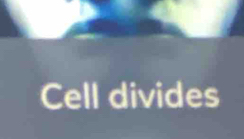 Cell divides