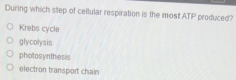 During which step of cellular respiration is the most ATP produced?
Krebs cycle
glycolysis
photosynthesis
electron transport chain