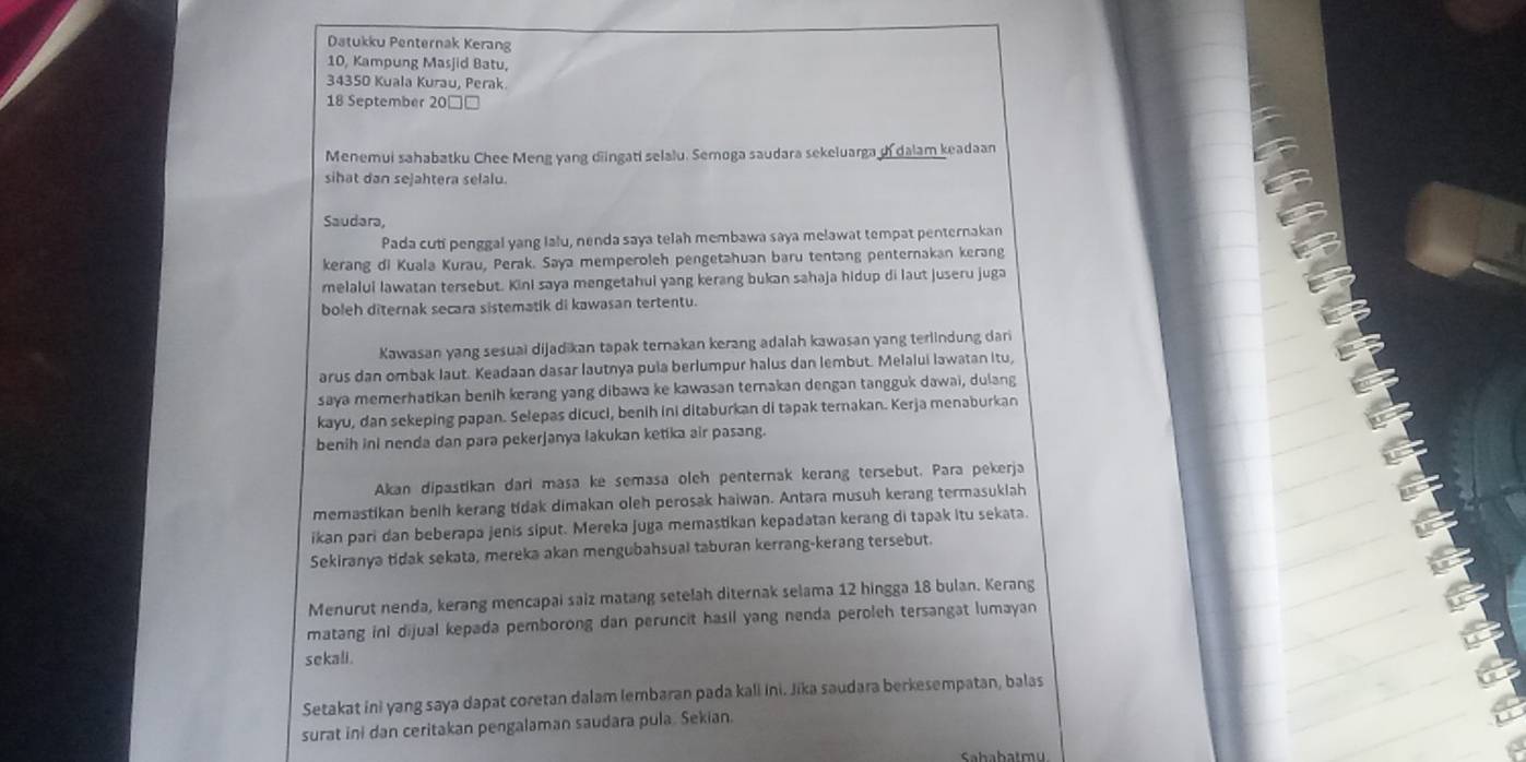 Datukku Penternak Kerang
10, Kampung Masjid Batu,
34350 Kuala Kurau, Perak
18 September 20□□
Menemui sahabatku Chee Meng yang diingati selalu. Semoga saudara sekeluarga of dalam keadaan
sihat dan sejahtera selalu.
Saudara,
Pada cuti penggal yang lalu, nenda saya telah membawa saya melawat tempat penternakan
kerang di Kuala Kurau, Perak. Saya memperoleh pengetahuan baru tentang penternakan kerang
melalui lawatan tersebut. Kini saya mengetahui yang kerang bukan sahaja hidup di laut juseru juga
boleh diternak secara sistematik di kawasan tertentu.
Kawasan yang sesuai dijadikan tapak ternakan kerang adalah kawasan yang terlindung dari
arus dan ombak laut. Keadaan dasar lautnya pula berlumpur halus dan lembut. Melalui lawatan itu,
saya memerhatikan benih kerang yang dibawa ke kawasan ternakan dengan tangguk dawai, dulang
kayu, dan sekeping papan. Selepas dicuci, benih ini ditaburkan di tapak ternakan. Kerja menaburkan
benih ini nenda dan para pekerjanya lakukan ketika air pasang.
Akan dipastikan dari masa ke semasa oleh penternak kerang tersebut. Para pekerja
memastikan benih kerang tidak dimakan oleh perosak haiwan. Antara musuh kerang termasuklah
ikan pari dan beberapa jenis siput. Mereka juga memastikan kepadatan kerang di tapak itu sekata
Sekiranya tidak sekata, mereka akan mengubahsual taburan kerrang-kerang tersebut.
Menurut nenda, kerang mencapai saiz matang setelah diternak selama 12 hingga 18 bulan. Kerang
matang ini dijual kepada pemborong dan peruncit hasil yang nenda peroleh tersangat lumayan
sekali .
Setakat ini yang saya dapat coretan dalam lembaran pada kali ini. Jika saudara berkesempatan, balas
surat ini dan ceritakan pengalaman saudara pula. Sekian.
Sahabatmu