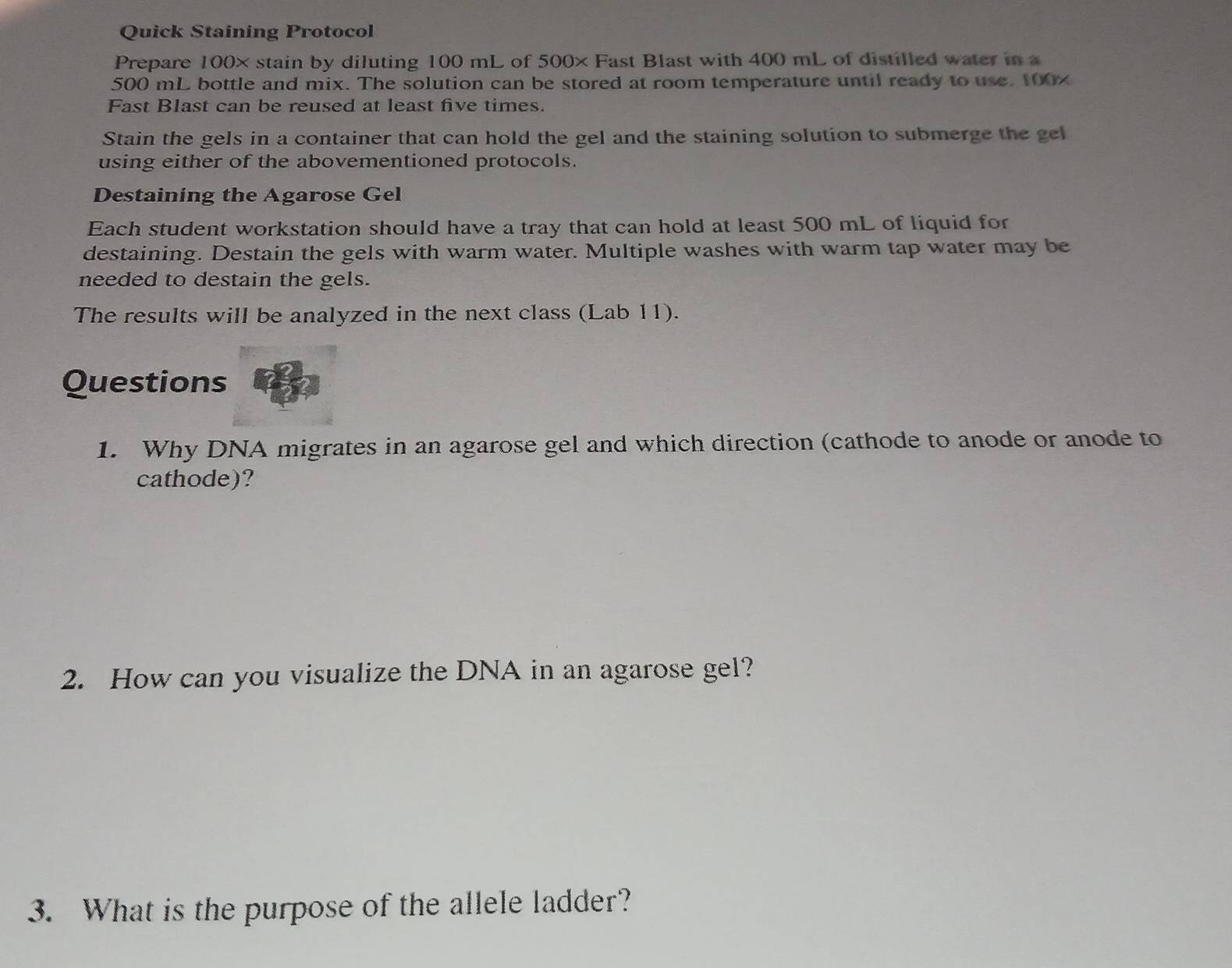 Quick Staining Protocol 
Prepare 100× stain by diluting 100 mL of 500× Fast Blast with 400 mL of distilled water in a
500 mL bottle and mix. The solution can be stored at room temperature until ready to use. 100x
Fast Blast can be reused at least five times. 
Stain the gels in a container that can hold the gel and the staining solution to submerge the gel 
using either of the abovementioned protocols. 
Destaining the Agarose Gel 
Each student workstation should have a tray that can hold at least 500 mL of liquid for 
destaining. Destain the gels with warm water. Multiple washes with warm tap water may be 
needed to destain the gels. 
The results will be analyzed in the next class (Lab 11). 
Questions 
1. Why DNA migrates in an agarose gel and which direction (cathode to anode or anode to 
cathode)? 
2. How can you visualize the DNA in an agarose gel? 
3. What is the purpose of the allele ladder?