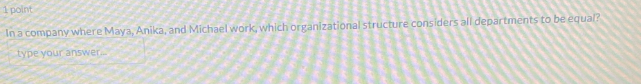 In a company where Maya, Anika, and Michael work, which organizational structure considers all departments to be equal? 
type your answer...