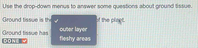 Use the drop-down menus to answer some questions about ground tissue. 
Ground tissue is the of the plant. 
Ground tissue has outer layer 
DONE fleshy areas