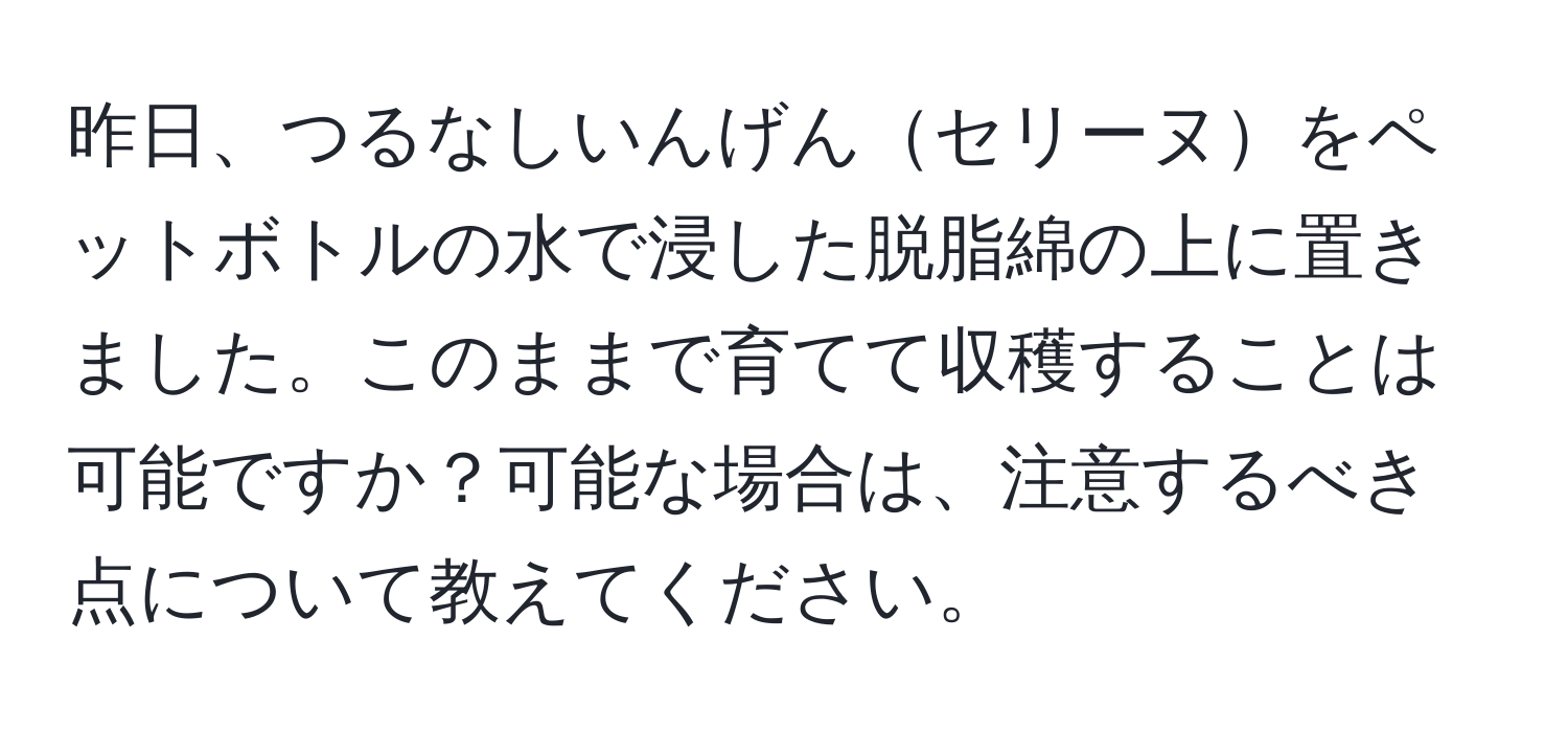 昨日、つるなしいんげんセリーヌをペットボトルの水で浸した脱脂綿の上に置きました。このままで育てて収穫することは可能ですか？可能な場合は、注意するべき点について教えてください。