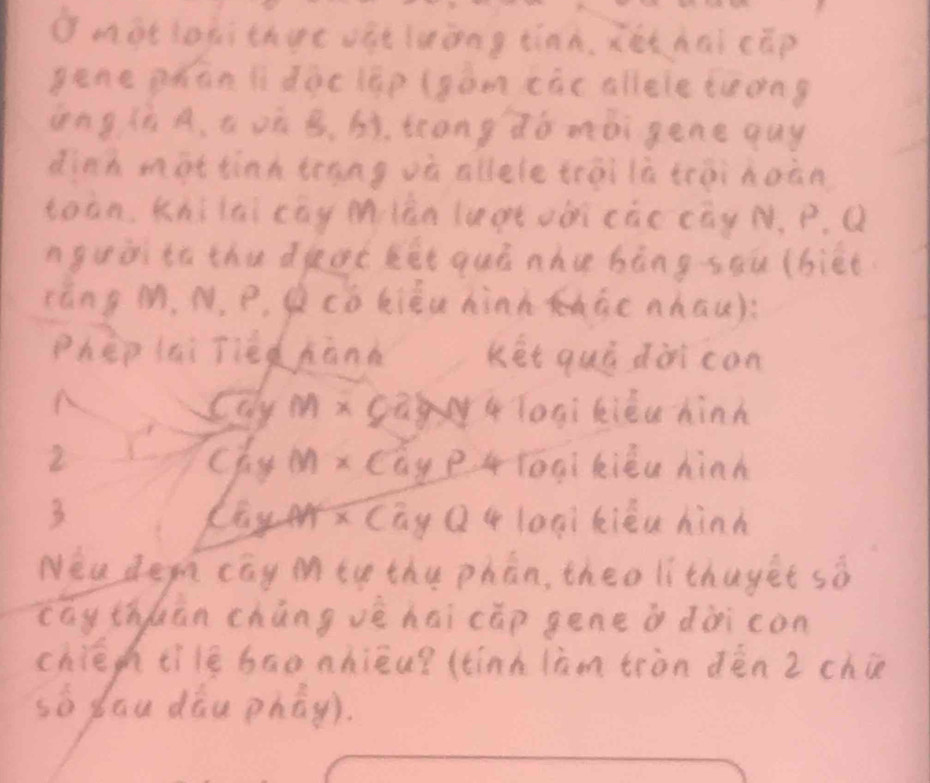 mot loàithge vàt luòng tinà, xóthai (āp 
gene phan lidàclāp (gào càc allele tuong 
ongiA. a iù. bò. scong zò mbi gene quy 
dinh mat tinh teng où allele trài ià trài hoàn 
toàn, Khi lai cay miàn legt odi cic cay N, p. Q
nguàitù the dkeoe eit quò nhu bòng soù (bièt 
ràng M. N, P. Q cò kiéu hind àe nhāu) 
Phep lai Tièdhànk ket quú dài con 
Caly MxaTogi tièu hinh 
2 Chg Mx cayp4lóqi kiéu hinh 
Cgmx(ag Qq loqi xièu hinh 
Nea depn cay mtv the phan, theo lithuyet sò 
cay thluān chǎng vè hai cāp gene ò dàicon 
chién tílè bāonhiāu? (tink làon tràn dèn 2 chi 
so dāu dàu phāg).