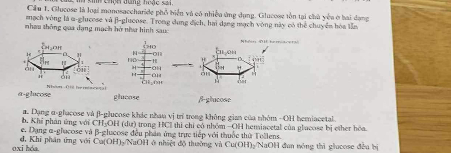 un sih chộn dung hoặc sai.
Câu 1. Glucose là loại monosaccharide phổ biển và có nhiều ứng dụng. Glucose tồn tại chủ yếu ở hai dạng
mạch vòng là α-glucose và β-glucose. Trong dung địch, hai dạng mạch vòng này có thể chuyển hóa lẫn
nhau thông qua dạng mạch hở như hình sau:
Nhóm OH hemiacetal
CHO
H OH 5 a11_2c )H
HO H
oH:
H OH 4 Bh H
H OH OH  2 H
H òh
CH_2OH
H hemiacetal
a-glucose glucose β-glucose
a. Dạng α-glucose và β-glucose khác nhau vị trí trong không gian của nhỏm -OH hemiacetal.
b. Khi phản ứng với CH_3OH (du) trong HCl thì chỉ có nhóm −OH hemiacetal của glucose bị ether hóa.
c. Dạng α-glucose và β-glucose đều phản ứng trực tiếp với thuốc thử Tollens.
d. Khi phản ứng với Cu(OH)_2 NaOH ở nhiệt độ thường và Cu(OH) ) /NaOH đun nóng thì glucose đều bị
oxi hóa.