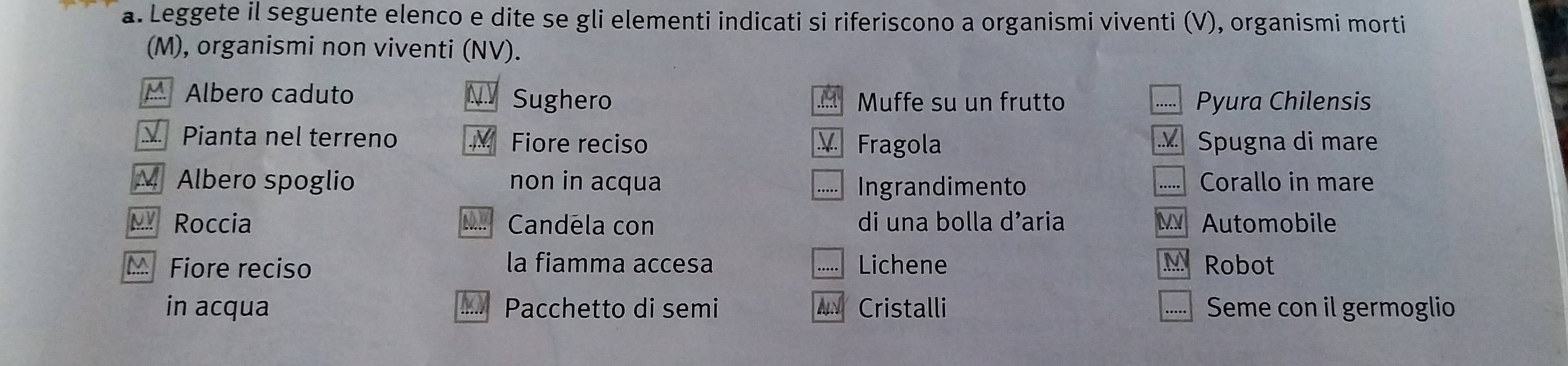 Leggete il seguente elenco e dite se gli elementi indicati si riferiscono a organismi viventi (V), organismi morti 
(M), organismi non viventi (NV). 
Albero caduto N Sughero .... Muffe su un frutto Pyura Chilensis 
….. 
Pianta nel terreno Fiore reciso V Fragola Spugna di mare 
M Albero spoglio non in acqua ..... Corallo in mare 
..... Ingrandimento 
MRoccia Candela con di una bolla d’aria MAutomobile 
la fiamma accesa 
Fiore reciso Lichene M Robot 
in acqua Pacchetto di semi AN Cristalli Seme con il germoglio