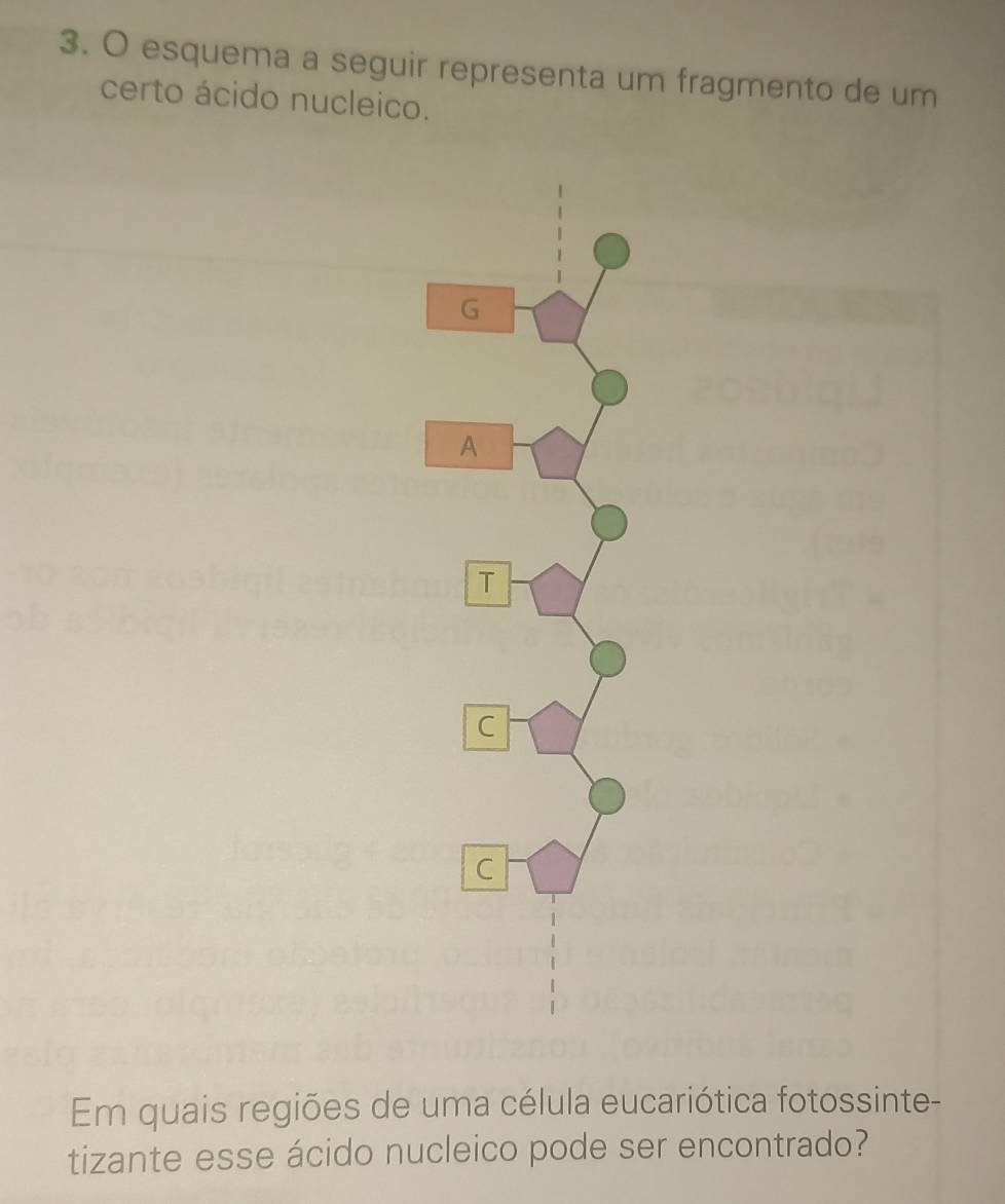 esquema a seguir representa um fragmento de um 
certo ácido nucleico. 
Em quais regiões de uma célula eucariótica fotossinte- 
tizante esse ácido nucleico pode ser encontrado?