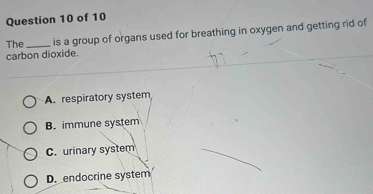 The _is a group of organs used for breathing in oxygen and getting rid of
carbon dioxide.
A. respiratory system
B. immune system
C. urinary system
D. endocrine system