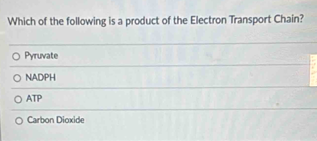 Which of the following is a product of the Electron Transport Chain?
Pyruvate
NADPH
ATP
Carbon Dioxide