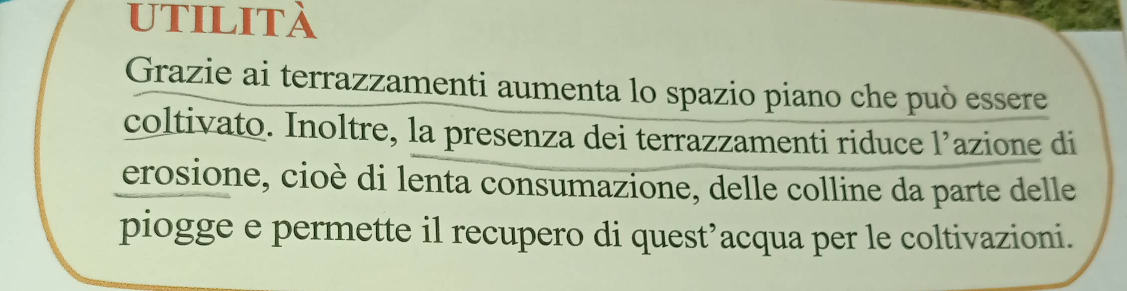 utilità 
Grazie ai terrazzamenti aumenta lo spazio piano che può essere 
coltivato. Inoltre, la presenza dei terrazzamenti riduce 1^, azione di 
erosione, cioè di lenta consumazione, delle colline da parte delle 
piogge e permette il recupero di quest’acqua per le coltivazioni.