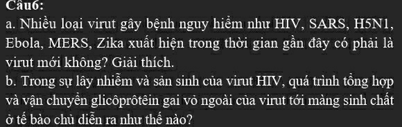 Nhiều loại virut gây bệnh nguy hiểm như HIV, SARS, H5N1, 
Ebola, MERS, Zika xuất hiện trong thời gian gần đây có phải là 
virut mới không? Giải thích. 
b. Trong sự lây nhiễm và sản sinh của virut HIV, quá trình tổng hợp 
và vận chuyền glicôprôtêin gai vỏ ngoài của virut tới màng sinh chất 
ở tế bào chủ diễn ra như thế nào?