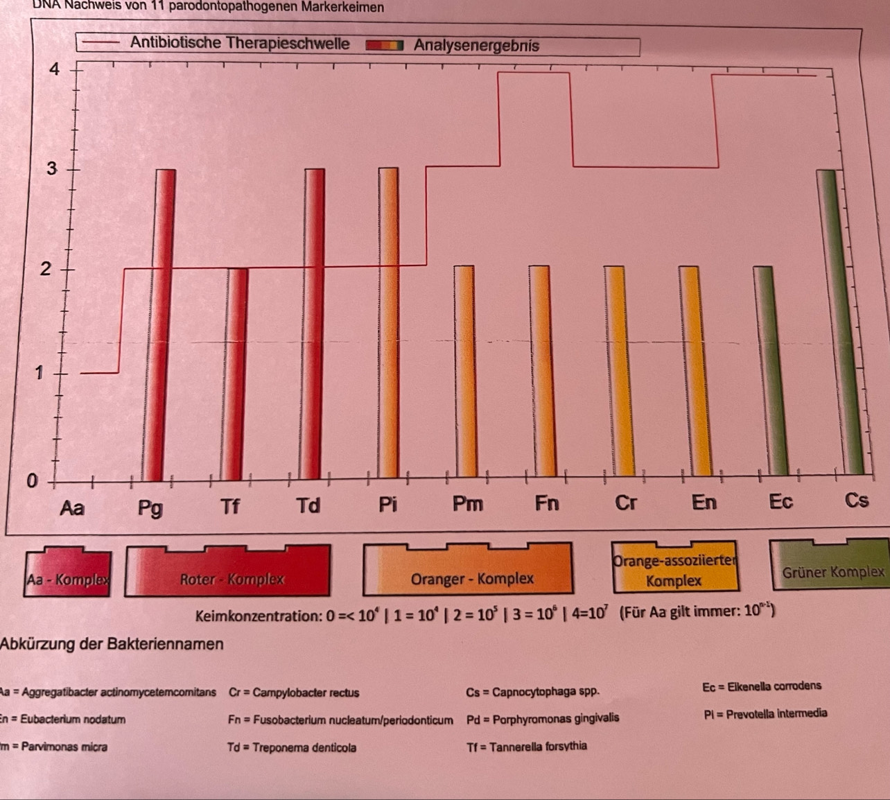 DNA Nächweis von 11 parodontopathogenen Markerkeimen
s
Orange-assoziierter
Aa - Komplex Roter - Komplex Oranger - Komplex Komplex Grüner Komplex
Keimkonzentration: 0=<10^4|1=10^4|2=10^5|3=10^6|4=10^7 (Für Aa gilt immer: 10^(n-1))
Abkürzung der Bakteriennamen
Ec=
Aa= Aggregatibacter actinomycetemcomitans Cr= Campylobacter rectus Cs= Capnocytophaga spp. Eikenella corrodens
PI=
in= Eubacterium nodatum Fn= Fusobacterium nucleatum/periodonticum Pd= Porphyromonas gingivalis Prevotella intermedia
m= Parvimonas micra Td= Treponema denticola Tf= Tannerella forsythia