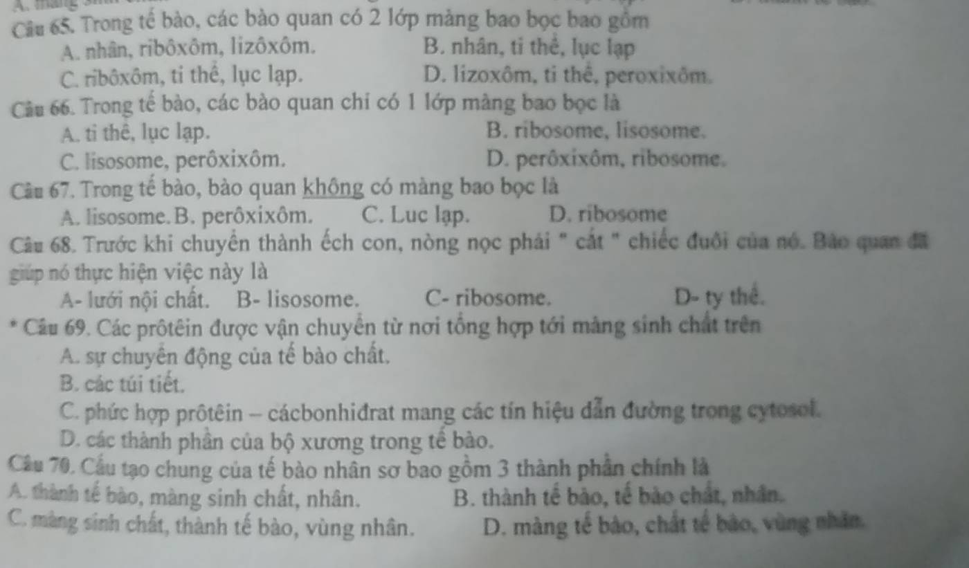 mang 3
Câu 65. Trong tế bào, các bào quan có 2 lớp màng bao bọc bao gồm
A. nhân, ribôxôm, lizôxôm. B. nhân, tỉ thể, lục lạp
C. ribôxôm, ti thể, lục lạp. D. lizoxôm, ti thê, peroxixôm.
Cầu 66. Trong tế bào, các bào quan chi có 1 lớp màng bao bọc là
A. ti thê, lục lạp. B. ribosome, lisosome.
C. lisosome, perôxixôm. D. perôxixôm, ribosome.
Câu 67. Trong tế bào, bào quan không có màng bao bọc là
A. lisosome.B. perôxixôm. C. Luc lạp. D. ribosome
Câu 68. Trước khi chuyển thành ếch con, nòng nọc phải " cắt " chiếc đuôi của nó. Bảo quan đã
giúp nó thực hiện việc này là
A- lưới nội chất. B- lisosome. C- ribosome. D- ty thể.
0 * Câu 69. Các prôtêin được vận chuyển từ nơi tổng hợp tới màng sinh chất trên
A. sự chuyên động của tế bào chất.
B. các túi tiết.
C. phức hợp prôtêin - cácbonhiđrat mang các tín hiệu dẫn đường trong cytosol.
D. các thành phần của bộ xương trong tế bào.
Câu 70, Cầu tạo chung của tế bào nhân sơ bao gồm 3 thành phần chính là
A. thành tế bào, màng sinh chất, nhân. B. thành tế bào, tế bào chất, nhân.
C. màng sinh chất, thành tế bào, vùng nhân. D. màng tế bào, chất tế bào, vùng nhân.