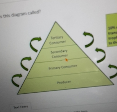 is this diagram called? 
Text Entry