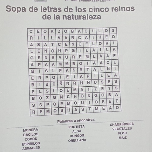 Sopa de letras de los cinco reinos 
de la naturaleza 
Palabras a encontrar: 
MONERA PROTISTA CHAMPINONES 
ALGA VEGETALES 
BACILOS HONGOS FLOR 
cocos 
ESPIRILOS ORELLANA MAIZ 
ANIMALES