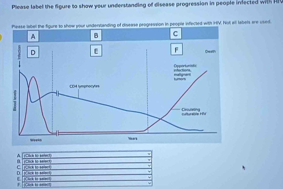 Please label the figure to show your understanding of disease progression in people infected with HI
Please label the figure to show your understanding of disease progression in people infected with HIV. Not all labels are used.
A. (Click to select)
B. (Click to select)
C. (Click to select)
D. (Click to select)
E. (Click to select)
F. (Click to select)