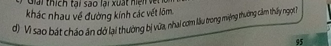 Giải thích tại sao lại xuất hiện vệt 
khác nhau về đường kính các vết lõm. 
d) Vì sao bát cháo ăn dở lại thường bị vữa, nhai cơm lâu trong miệng thường cảm thấy ngọt 
95