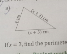 If x=3 , find the perimete