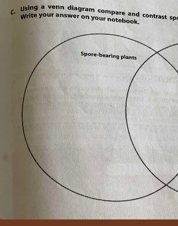 Using a venn diagram compare and contrast sp 
Write your answer on your notebook.