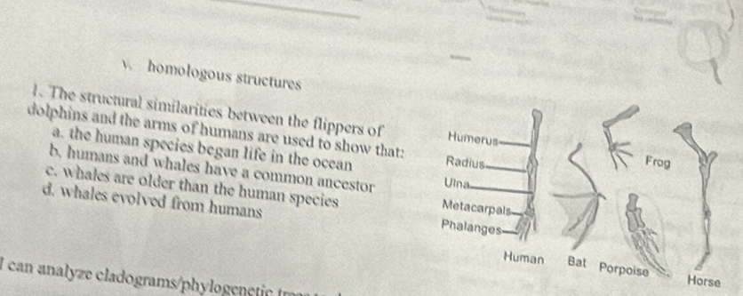 homologous structures
1. The structural similarities between the flippers of
dolphins and the arms of humans are used to show that:
a. the human species began life in the ocean
b, humans and whales have a common ancestor
c. whales are older than the human species
d. whales evolved from humans
I can analyze cladograms/phylogenet c m