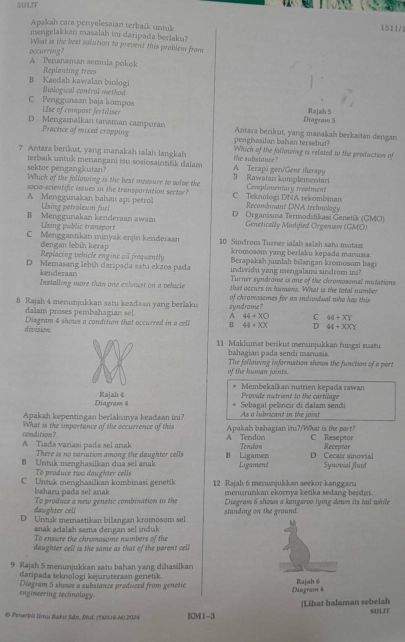 SULIT
Apakah cara penyelesaian terbaik untuk
1511/1
mengelakkan masalah ini daripada berlaku?
What is the best solution to prevent this problem from
occurring?
A Penanaman semula pokok
Replanting trees
B Kaedah kawalan biologi
Biological control method
C Penggunaan baja kompos
Use of compost fertiliser Rajah 5
Diagram 5
D Mengamalkan tanaman campuran Antara berikut, yang manakah berkaitan dengan
Practice of mixed cropping penghasilan bahan tersebut?
Which of the following is related to the production of
7 Antara berikut, yang manakah ialah langkah the substance?
terbaik untuk menangani isu sosiosaintifik dalam A Terapi gen/Gene therapy
sektor pengangkutan? B Rawatan komplementari
Which of the following is the best measure to solve the Complimentary treatment
socio-scientific issues in the transportation sector? C Teknologi DNA rekombinan
A Menggunakan bahan api petrol Recombinant DNA technology
Using petroleum fuel D Organisma Termodifikasi Genetik (GMO)
B Menggunakan kenderaan awam Genetically Modified Organism (GMO)
Using public transport
C Menggantikan minyak enjin kenderaan 10 Sindrom Turner ialah salah satu mutasi
dengan lebih kerap kromosom yang berlaku kepada manusia.
Replacing vehicle engine oil frequently Berapakah jumlah bilangan kromosom bagi
D Memasang lebih daripada satu ekzos pada individu yang mengalami sindrom ini?
kenderaan Turner syndrome is one of the chromosomal mutations
Installing more than one exhaust on a vehicle that occurs in humans. What is the total number
of chromosomes for an individual who has this
8 Rajah 4 menunjukkan satu keadaan yang berlaku syndrome?
dalam proses pembahagian sel. A 44+XO C 44+XY
Diagram 4 shows a condition that occurred in a cell B 44+XX D 44+XXY
division.
11 Maklumat berikut menunjukkan fungsi suatu
bahagian pada sendi manusia.
The following information shows the function of a part
of the human joints.
Membekalkan nutrien kepada rawan
Rajah 4 Provide nutrient to the cartilage
Diagram 4 。 Sebagaí pelincir di dalam sendi
Apakah kepentingan berlakunya keadaan ini? As a lubricant in the joint
What is the importance of the occurrence of this Apakah bahagian itu?/What is the part?
condition? A Tendon C Reseptor
A Tiada variasi pada sel anak Tendon Receptor
There is no variation among the daughter cells B Ligamen D Cecair sinovial
B Untuk menghasilkan dua sel anak Ligament Synovial fluid
To produce two daughter cells
C Untuk menghasilkan kombinasi genetik 12 Rajah 6 menunjukkan seekor kanggaru
baharu pada sel anak menurunkan ekornya ketika sedang berdiri.
To produce a new genetic combination in the Diagram 6 shows a kangaroo lying down its tail while
daughter cell standing on the ground.
D Untuk memastikan bilangan kromosom sel
anak adalah sama dengan sel induk
To ensure the chromosome numbers of the
daughter cell is the same as that of the parent cell
9 Rajah 5 menunjukkan satu bahan yang dihasilkan
daripada teknologi kejuruteraan genetik.
Diagram 5 shows a substance produced from genetic Rajah 6
engineering technology. Diagram 6
[Lihat halaman sebelah
SULIT
© Penerbit Ilmu Bakti Sdn. Bhd. (732516-M) 2024 KM1-3
