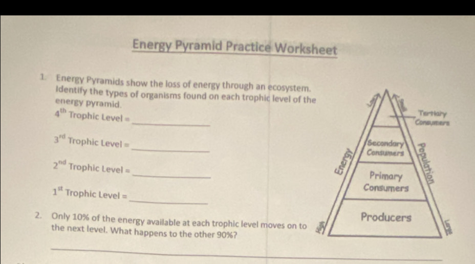 Energy Pyramid Practice Worksheet 
1. Energy Pyramids show the loss of energy through an ecosystem. 
Identify the types of organisms found on each trophic level of t 
energy pyramid. 
_
4^(th) Trophic Level =
3^(rd) Trophic Level = _
2^(nd) Trophic Level = _ 
_
1^(st) Trophic Level = 
2. Only 10% of the energy available at each trophic level moves on to 
the next level. What happens to the other 90%? 
_ 
_