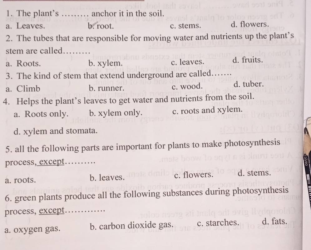 The plant’s _anchor it in the soil.
a. Leaves. b. root. c. stems. d. flowers.
2. The tubes that are responsible for moving water and nutrients up the plant’s
stem are called._
a. Roots. b. xylem. c. leaves. d. fruits.
3. The kind of stem that extend underground are called……
a. Climb b. runner. c. wood. d. tuber.
4. Helps the plant’s leaves to get water and nutrients from the soil.
a. Roots only. b. xylem only. c. roots and xylem.
d. xylem and stomata.
5. all the following parts are important for plants to make photosynthesis
process, except._
a. roots. b. leaves. c. flowers. d. stems.
6. green plants produce all the following substances during photosynthesis
process, except._
a. oxygen gas. b. carbon dioxide gas. c. starches. d. fats.