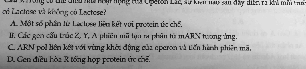 Cầu 9: Tong có chế điều hoa hoạt động của Operon Lác, sự kiện nào sau đây điễn rà khi môi trưở
có Lactose và không có Lactose?
A. Một số phân tử Lactose liên kết với protein ức chế.
B. Các gen cấu trúc Z, Y, A phiên mã tạo ra phân tử mARN tương ứng.
C. ARN pol liên kết với vùng khởi động của operon và tiến hành phiên mã.
D. Gen điều hòa R tổng hợp protein ức chế.