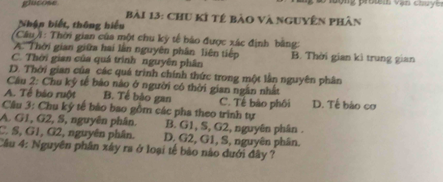 gucose hộng protem vận chuy 
Bài 13: chu kí tê bảo và nguyên phân
Nhận biết, thông hiểu
(Câu1 : Thời gian của một chu kỳ tế bảo được xác định bằng:
A 'Thời gian giữa hai lần nguyên phân liên tiếp B. Thời gian kì trung gian
C. Thời gian của quá trình nguyên phân
D. Thời gian của các quá trình chính thức trong một lằn nguyên phân
Câu 2: Chu kỷ tế bảo nào ở người có thời gian ngân nhất
A. Tế bảo ruột B. Tế bào gan C. Tế bảo phối D. Tế bào cơ
Câu 3: Chu kỷ tế bảo bao gồm các pha theo trình tự
A. G1, G2, S, nguyên phân. B. G1, S, G2, nguyên phân .
C. S, G1, G2, nguyên phân. D. G2, G1, S, nguyên phân.
Câu 4: Nguyên phân xây ra ở loại tế bào nào dưới đây ?